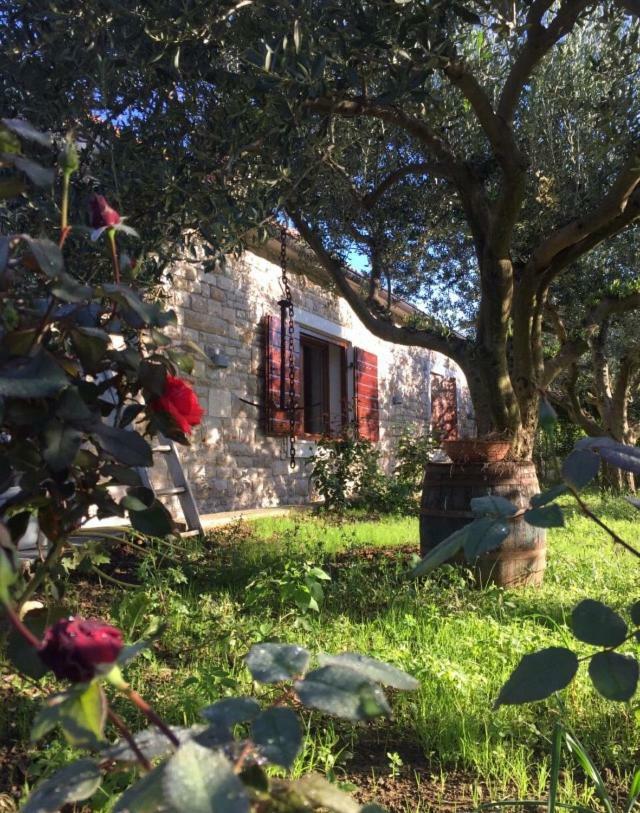 Casa Mala Villa Zadar Exterior photo